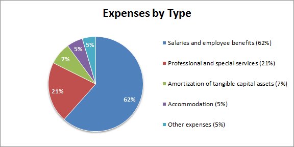 Figure 2: Expenses by Type