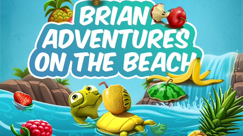 Brian Adventures on the Beach