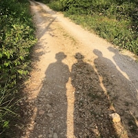 L'ombre des quatre frères Beaumont sur un chemin de pierre.