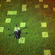 Un drone au-dessus d'une forêt.