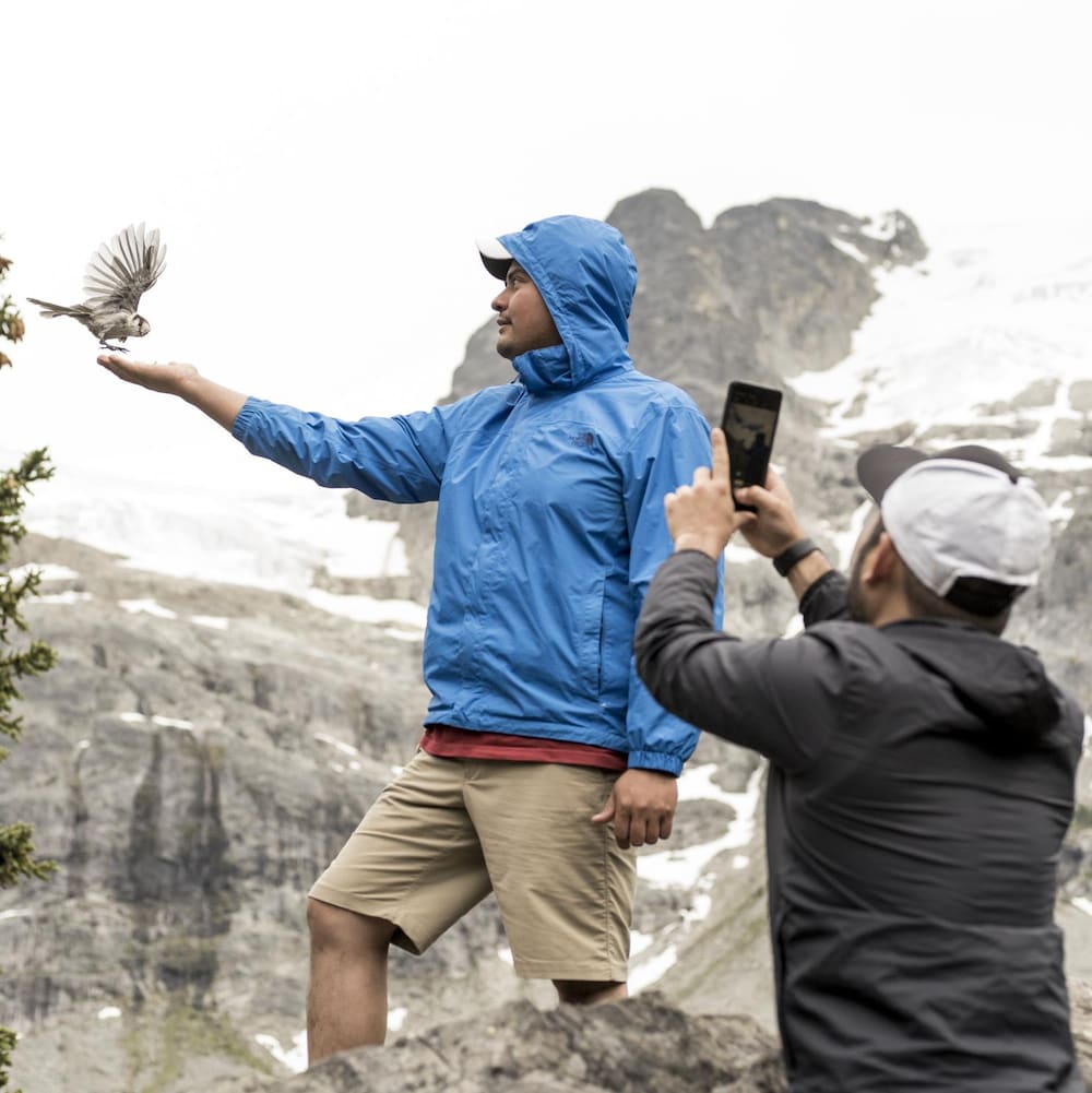 Un homme photographie son ami alors qu'un oiseau se pose dans sa main dans le parc britanno-colombien Joffre Lakes.