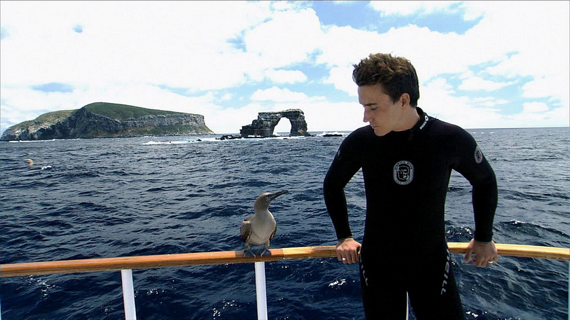 Filmmaker Rob Stewart’s death wasn’t an anomaly: the real risks of scuba diving