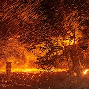 Un photographe en combinaison au milieu de l'incendie prenant une photo d'un arbre en pleine chute.