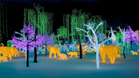 un paysage d'animaux et d'arbres illuminés et multicolores, figés dans la neige