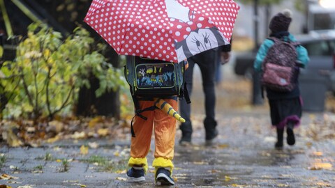 Un enfant déguisé en tigre porte un parapluie.