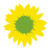 Sunflower (Green symbol).png