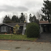 Des pompiers observent les dégâts causés par un arbre qui s'est affaissé sur la toiture d'une résidence à Sherbrooke.