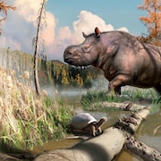 Illustration artistique d'un rhinocéros ancien et de tortues dans leur milieu naturel.