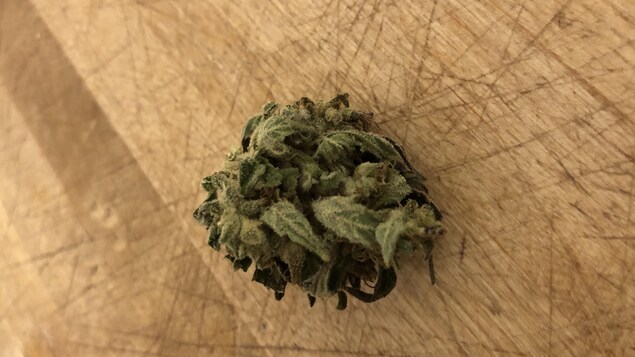 Une cocotte de cannabis posée sur une table en bois.