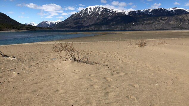 Une plage de sable devant une étendue d'eau et des montagnes enneigées en arrière-plan.