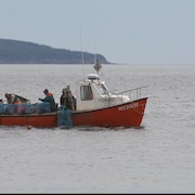Un bateau avec trois hommes à bord qui pêchent le homard. Des casiers se trouvent dans le bateau. 