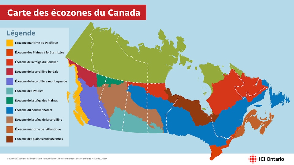 Une carte géographique du Canada colorée.