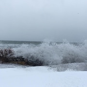 Les vagues déferlent le long de la côte