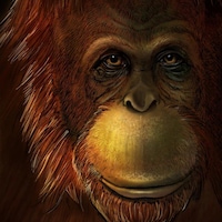 Illustration artistique d'un Gigantopithecus blacki.