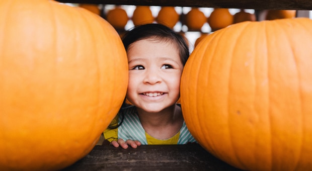 A little boy between two pumpkins