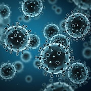 Une représentation du virus de la grippe.