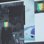 Image de la journaliste sur l'écran d'un ordinateur.