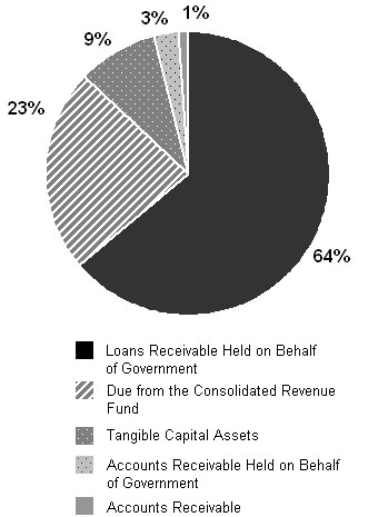 Pie chart representing Assets by Type, for 2012-13 fiscal year