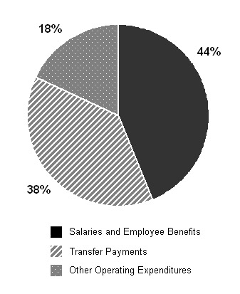 Pie chart representing Expenses by Type, for 2012-13 fiscal year