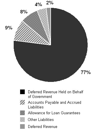 Pie chart representing Liabilities by Type, for 2012-13 fiscal year