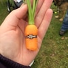 Une bague ornée d'un diamant au milieu d'une carotte