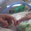 Un bébé entubé dans une couveuse tenant la main d'un adulte
