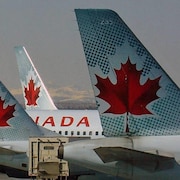 Plan serré d'avions d'Air Canada stationnés à un aéroport.
