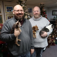 Tom Kereluk and Vince Jackman, avec leurs trois chiens, devant quelques-uns de leurs sapin de Noël 