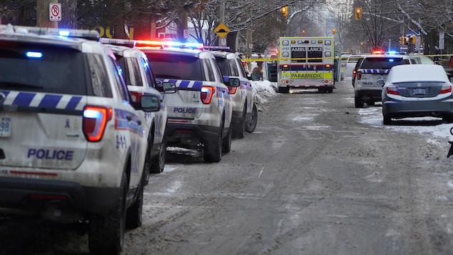 Plusieurs voitures de police dans une rue d'Ottawa.