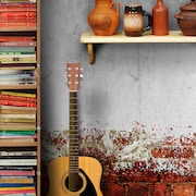 Des livres, une guitare, des pots