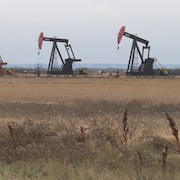 Des tiges de pompage sur des puits de pétrole dans un champ au sud de Peace River, en Alberta. Octobre 2019.