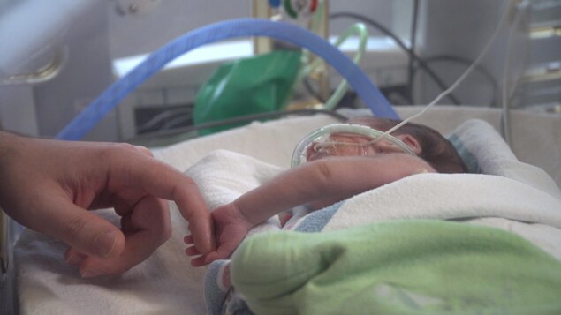 Un bébé entubé dans une couveuse tenant la main d'un adulte