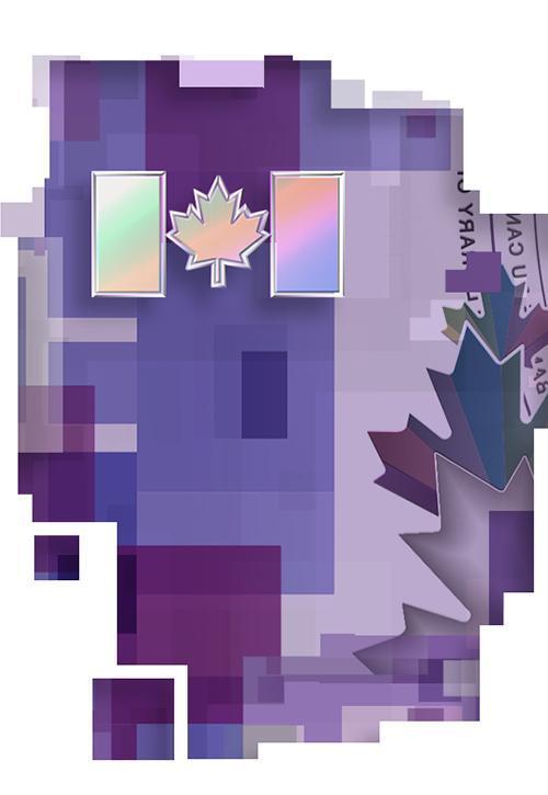 Drapeau canadien à reflets métalliques sur un billet de 10 $
