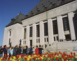Photo - L'édifice de la Cour