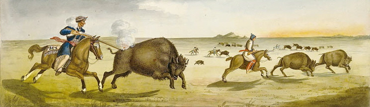 Chasse au bison 1822.jpg