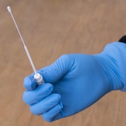 Une main présente un écouvillon utilisé pour les prélèvements lors du test de coronavirus.