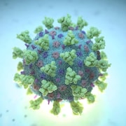 Une image de synthèse créée par Nexu Science Communication et le Trinity College de Dublin montrant un betacoronavirus comme celui causant la COVID-19.