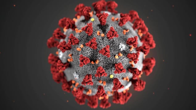 image d'un virus au microscope. 