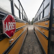 Deux autobus scolaires stationnés l'un à côté de l'autre.