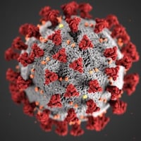 Une molécule du virus COVID-19