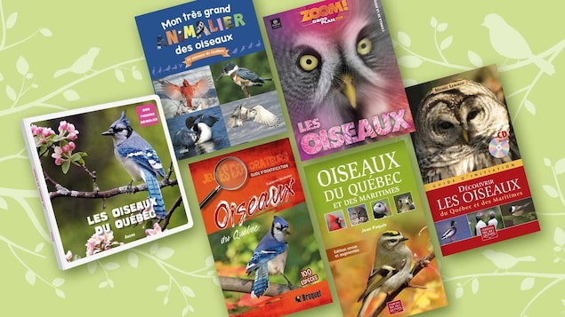 On voit six livres sur les oiseaux du Québec