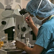 Une femme transfère un échantillon devant un microscope dans un laboratoire.