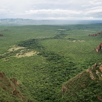 Vue aérienne de la forêt amazonienne brésilienne.