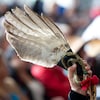 Une plume d'aigle sur laquelle est attachée un ruban rouge est tenue pendant les cérémonies entourant la publication du rapport de l'ENFFADA, le 3 juin dernier, à Gatineau. 