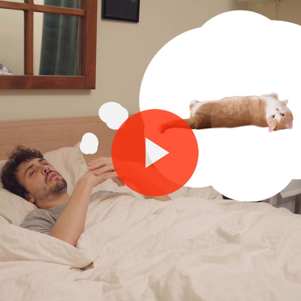 Miniature de la vidéo. Thomas dort et rêve à Bagel, son chat adoré.