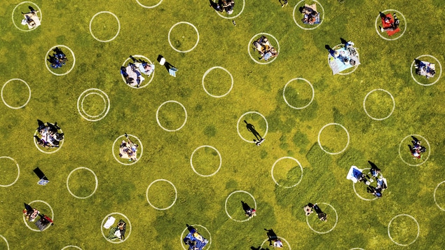 Des cercles peints sur la pelouse dans un parc.