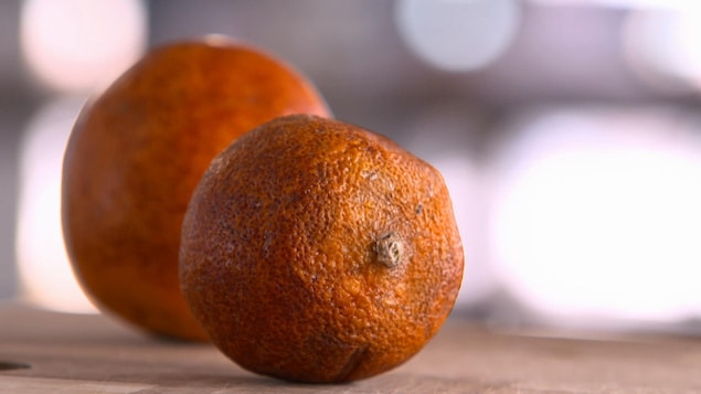 Gros plan sur une orange qui commence à sécher.