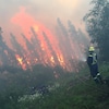 Un pompier tente d'éteindre des flammes dans une forêt.