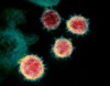 Why does the coronavirus spread so easily between people?