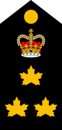 Toronto Police - Chief of Police (SB).png